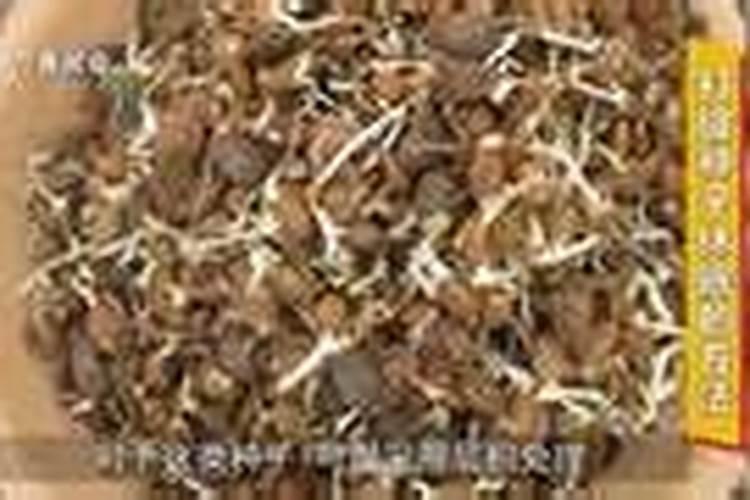 为了让果树的果子又大又甜,应该用什么肥料？