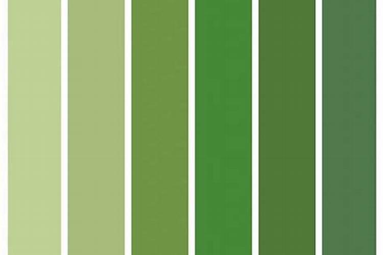 绿骆驼大量元素平衡肥怎么样