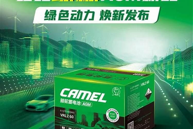 骆驼奶的营养价值