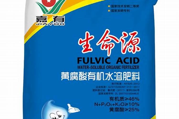 种植香瓜到了膨果期,该掌握哪些护理技巧？