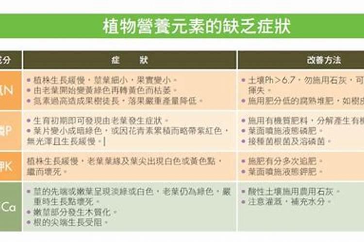 种菜为什么要施肥