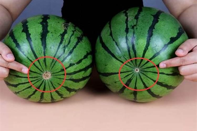 这些作物怎么使用鱼蛋白肥？千万别施错了!