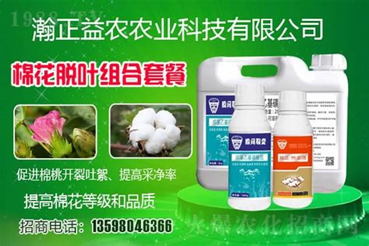 种植茄果类和瓜果类蔬菜,实现增产又增收的技巧有哪些？