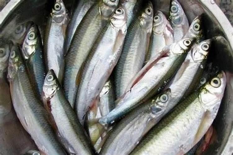 葡萄什么时间追肥？水溶肥怎么用