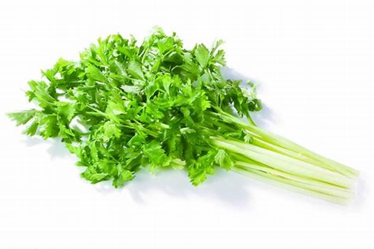 香芹菜种植时间和方法