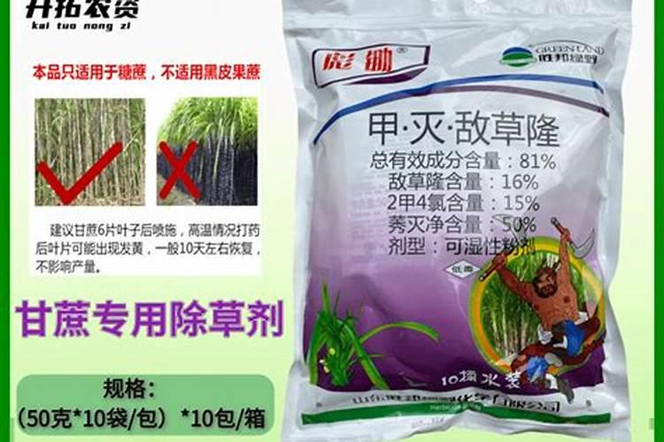 甘庶的栽培方法