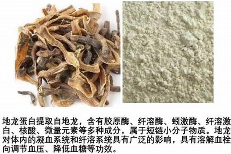 地龙海参片功效有哪些