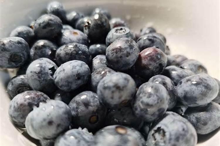 蓝莓果子干瘪的原因,变皱了还能吃吗
