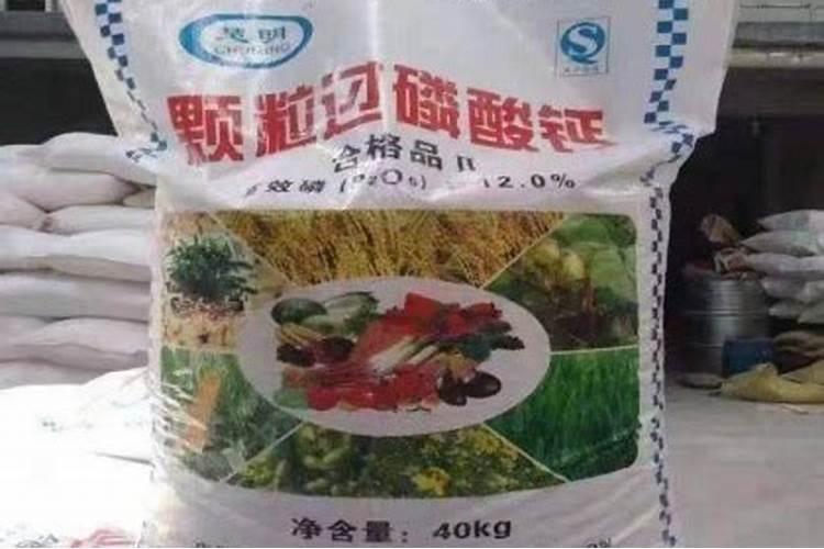 爆笑办公室到底是什么公司？