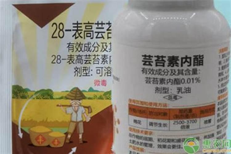 芸苔素拌麦种的用量