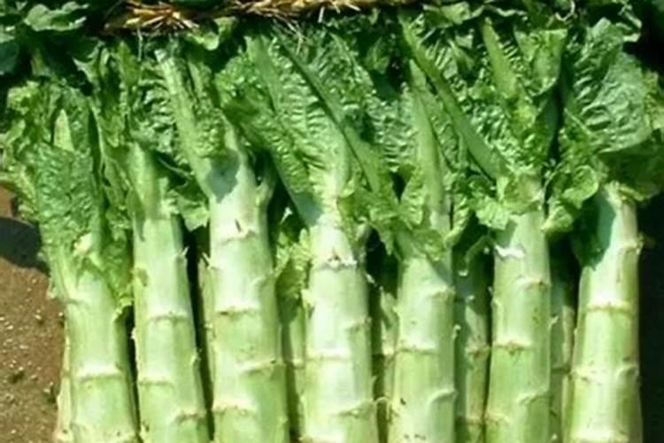 赤霉素、芸苔素、多效唑用法大汇总!