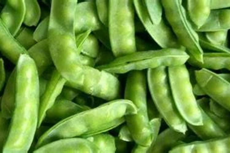 豌豆什么时间种植最好呢？种植后该如何进行田间管理呢？