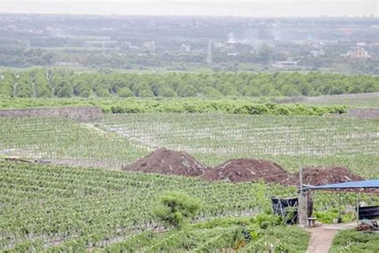 大量元素大量元素的作用