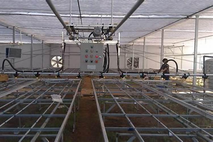 中量元素水溶肥料在水稻育秧中怎样施用？