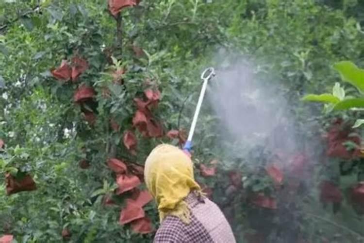 钙肥的特点？正确的补钙方法？果树补钙用什么叶面肥？