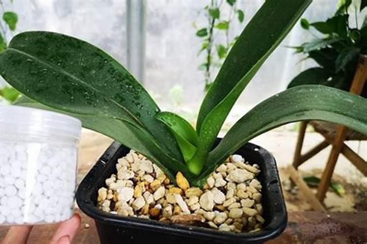 硝酸磷肥附产品有哪些规格及适用的作物？