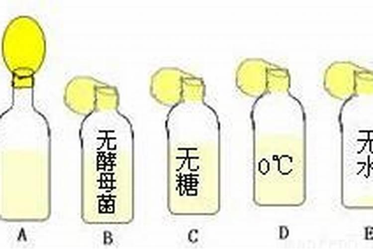 豌豆尖最忌三种肥料