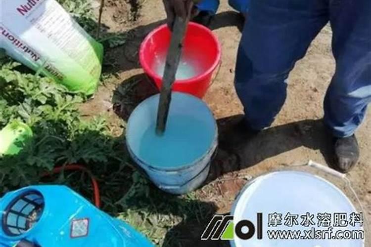 水溶肥埋地里化么