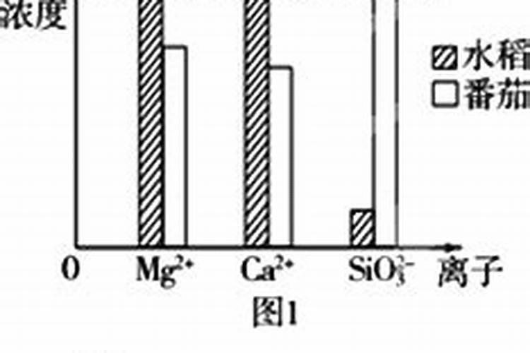 镁肥的效果及使用方法