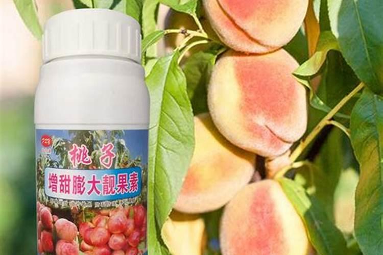 膨果最好的配方