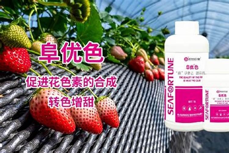 中国最好的果树叶面肥有哪些？