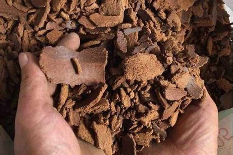 菜籽饼怎么发酵肥水