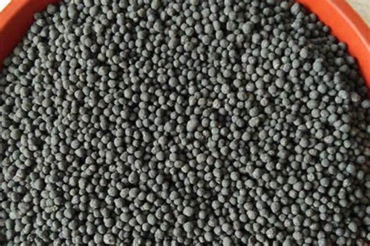 把花的肥料溶于水中再浇花可以吗？