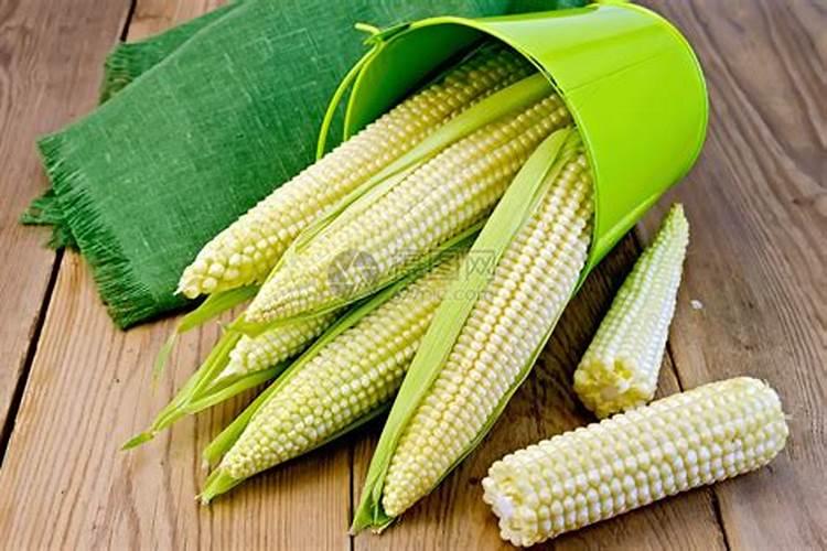 玉米专用肥的最佳配方