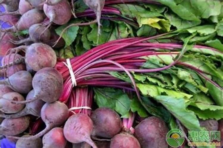 磷肥对植物有哪些影响？