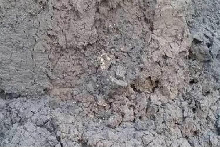 稻壳灰可以当肥料吗？