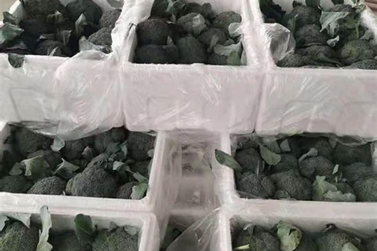 西兰花可以施录化钾肥料吗