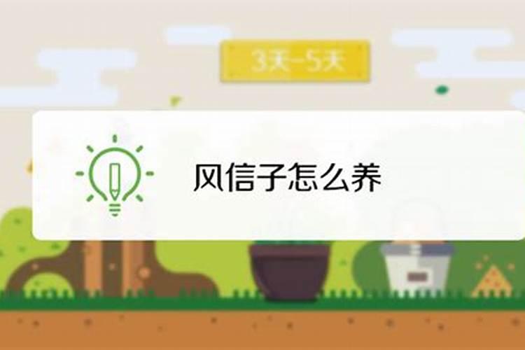 如何提高枣树栽培的成活率