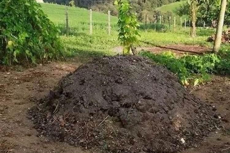 “贝叶之歌无碍,莲花之心不染”是什么意思