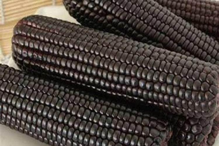 住商肥料玉米专用肥价格多少