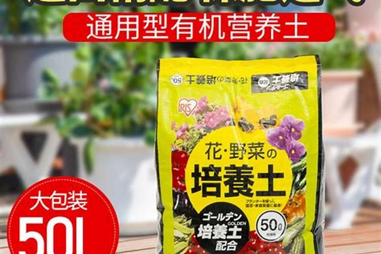 康乃馨用什么肥料,康乃馨肥料推荐(康乃馨营养液)