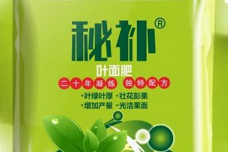 叶面施肥:提升瓜果蔬菜产量与品质的秘诀