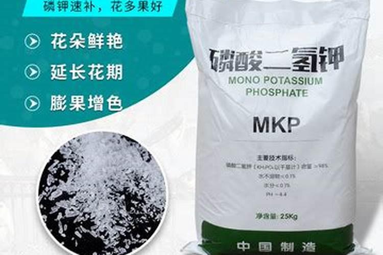 中药材地黄一次冲施多少肥料合适？地黄壮根叶面肥厂家哪家好？