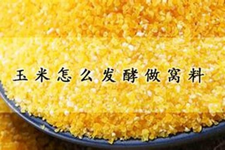 玉米幼苗能打芸苔素吗