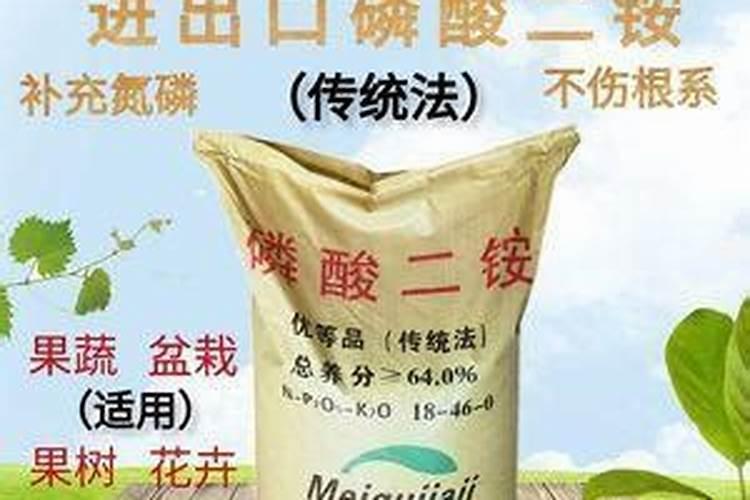 怎样才能做到丝瓜的合理施肥 丝瓜施肥技巧总结