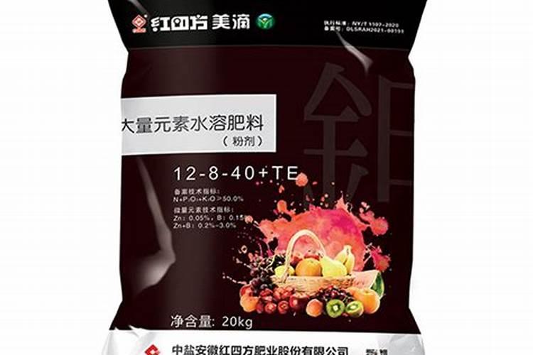 草莓西红柿的种植方法和管理技术