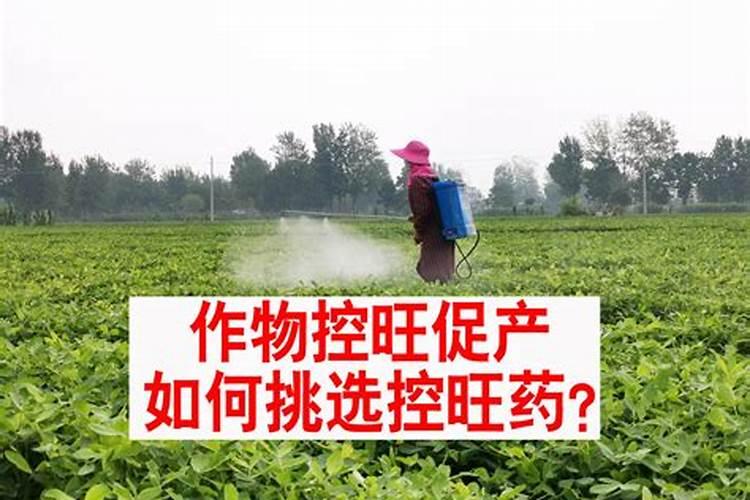 苹果树秋施基肥要施尿素吗