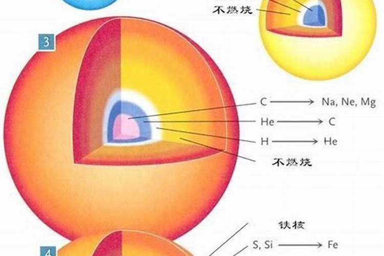 铁是重金属元素,但为什么人大量摄入后不会中毒？