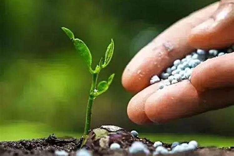 如何鉴别肥料质量