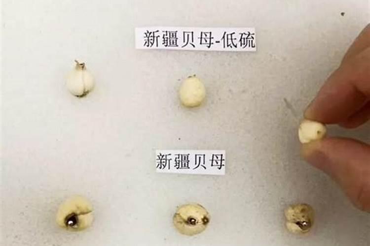 什么是氨氮？水产养殖氨氮产生、超标危害及检测控制!