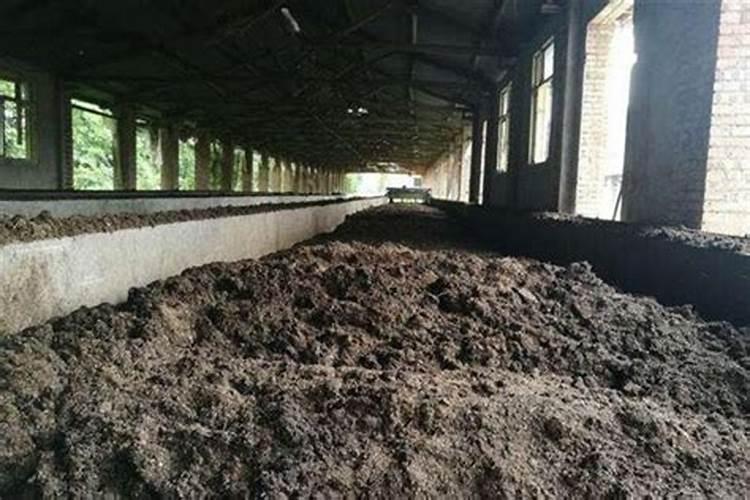 木屑发酵成为可用肥料的具体做法是怎样的