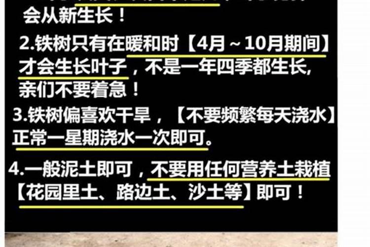 食用酵母可发酵肥料吗