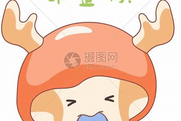 花多多15号适合浇什么花