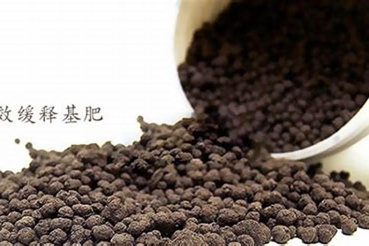 虾塘肥水用复合肥好还是磷肥好