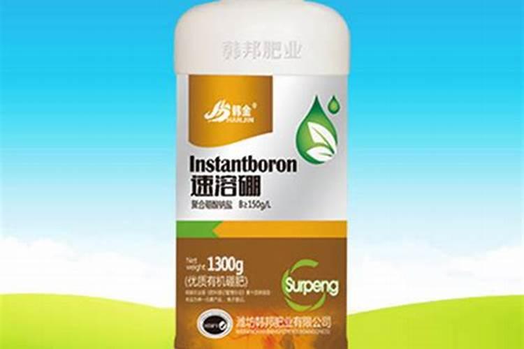 月季花可以用磷酸二氢钾肥吗(盆栽月季施什么肥最好)