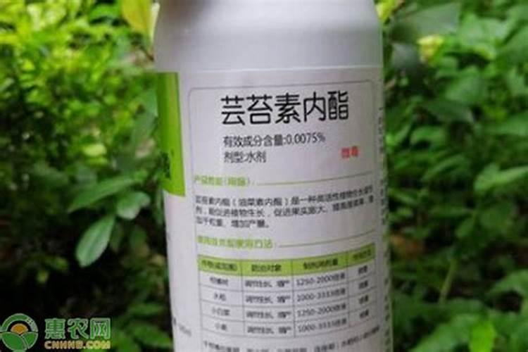 根腐迎制剂能和芸苔素混用吗